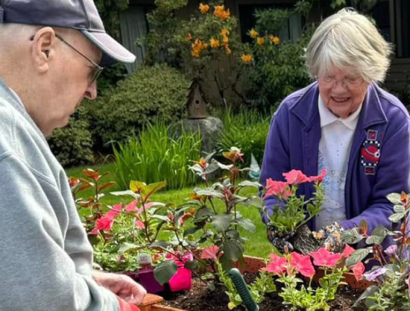 Gardening 660x500