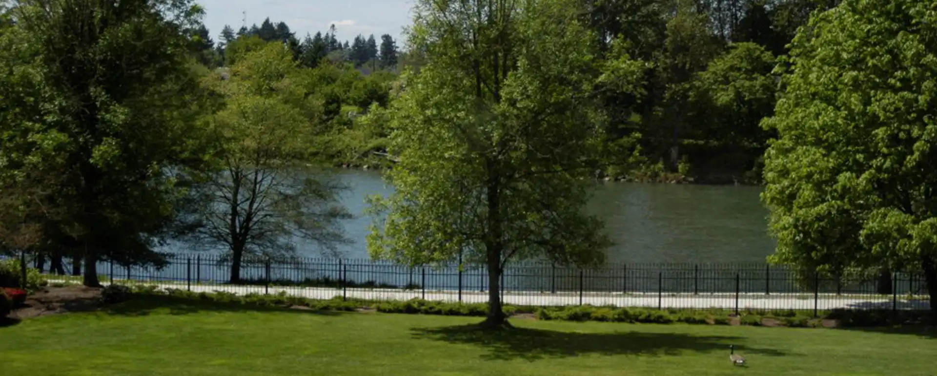 Willamette Oaks for brochures and websites 015 770x1920 copy